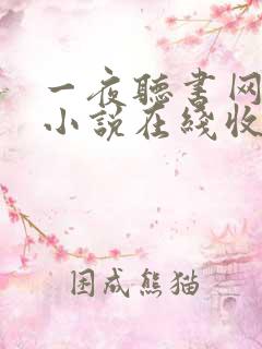 一夜听书网有声小说在线收听