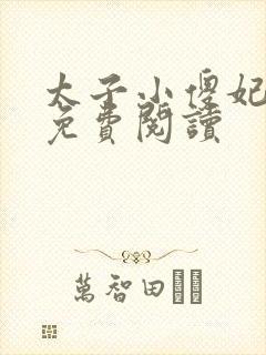 太子小傻妃漫画免费阅读