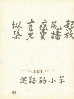 纵有疾风起40集免费播放下载纵有疾风