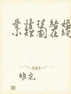 爱情从结婚开始小短剧在线观看