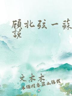 顾北弦一苏o小说