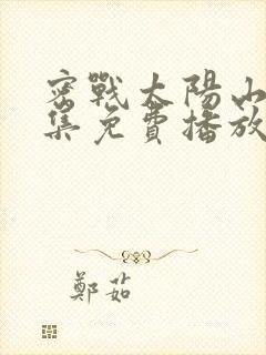 密战太阳山40集免费播放