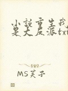 小说重生我居然是大反派txt