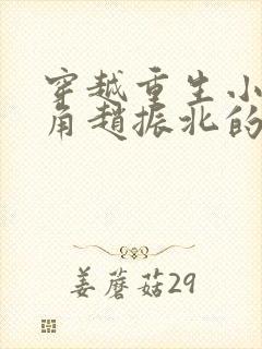 穿越重生小说主角赵振北的小说