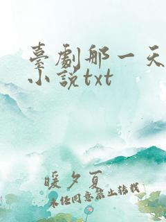 台剧那一天原著小说txt