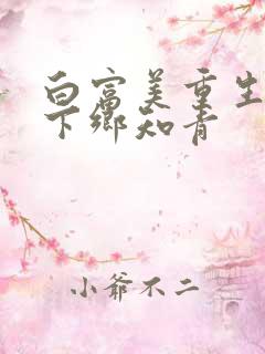 白富美重生七零下乡知青