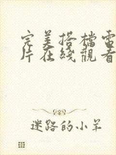 完美搭档电影全片在线观看