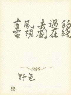 有风去过的地方电视剧在线观看