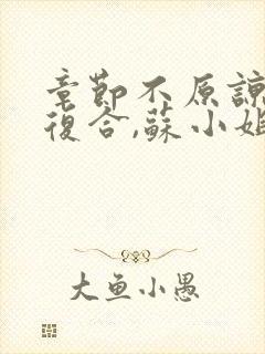 章节不原谅,不复合,苏小姐独美