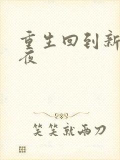 重生回到新婚之夜