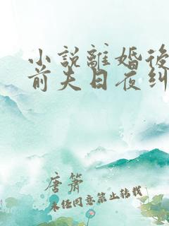 小说离婚后财阀前夫日夜纠缠