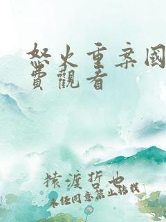 怒火重案国语免费观看