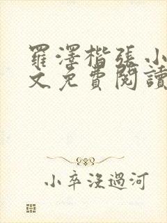 罗泽楷张小丽全文免费阅读笔趣阁