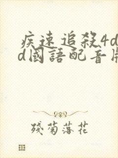 疾速追杀4dvd国语配音版