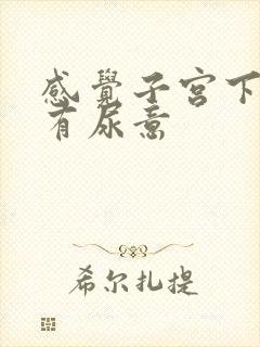 感觉子宫下坠总有尿意