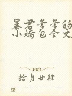 暴君爹爹的团宠小娇包全文阅读小说