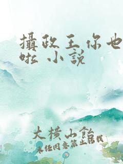 摄政王你也重生啦 小说