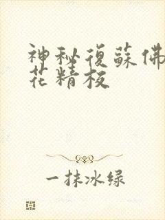 神秘复苏佛前献花精校