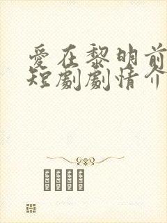 爱在黎明前升起短剧剧情介绍