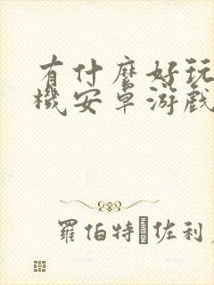 有什么好玩的单机安卓游戏