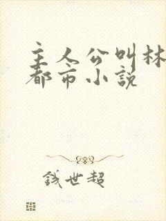 主人公叫林北的都市小说