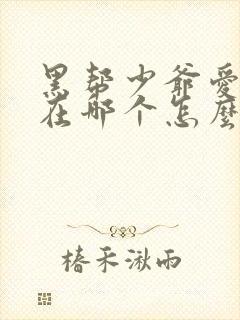 黑帮少爷爱上我在哪个怎么看