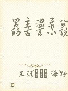 男主温柔公子型的古言小说