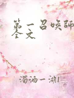 第一召唤师小说全文