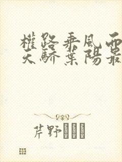 权路乘风而起化天骄叶阳最新章节在线阅读