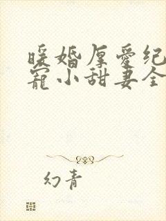 暖婚厚爱纪总独宠小甜妻全集完整版