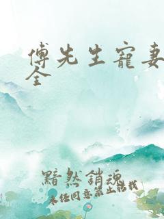 傅先生宠妻无度全