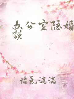 办公室隐婚类小说