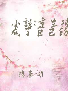 小说:重生后我成了自己的情敌