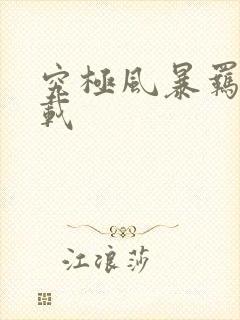 究极风暴羁绊下载