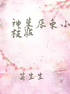 神墓辰东小说精校版