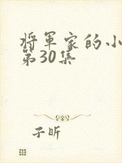 将军家的小娘子第30集