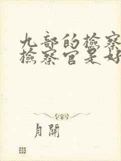 九部的检察官陈检察官是好人吗