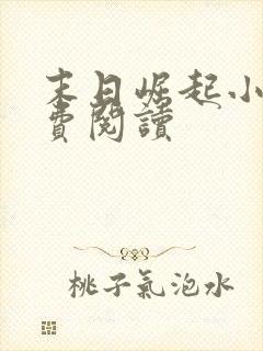 末日崛起小说免费阅读