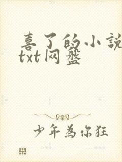 喜了的小说合集txt网盘