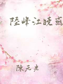 陆峰江晓燕小说