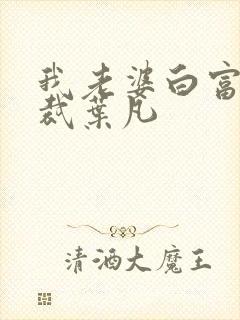 我老婆白富美总裁叶凡