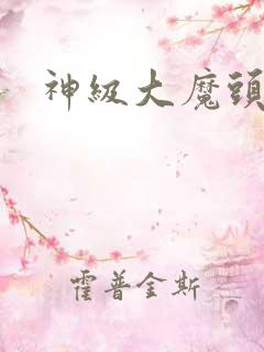神级大魔头小说