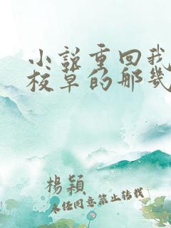 小说重回我爸当校草的那几年