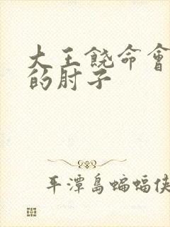 大王饶命会说话的肘子