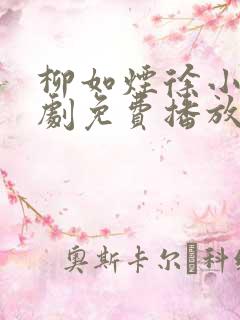 柳如烟徐小虎短剧免费播放