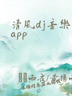 清风dj音乐网app