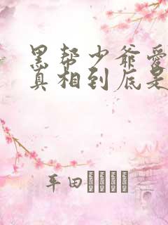 黑帮少爷爱上我真相到底是啥?