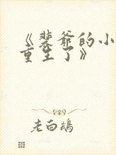 《裴爷的小祖宗重生了》