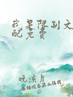 我是限制文的女配免费