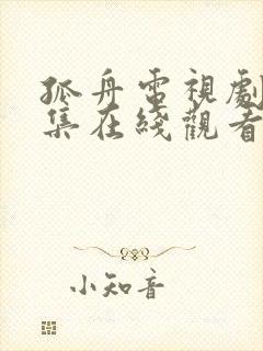 孤舟电视剧28集在线观看免费高清